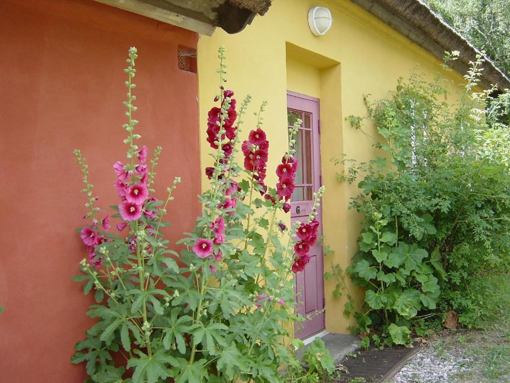 Onkel Enkels Pensionat Tomelilla Exterior foto
